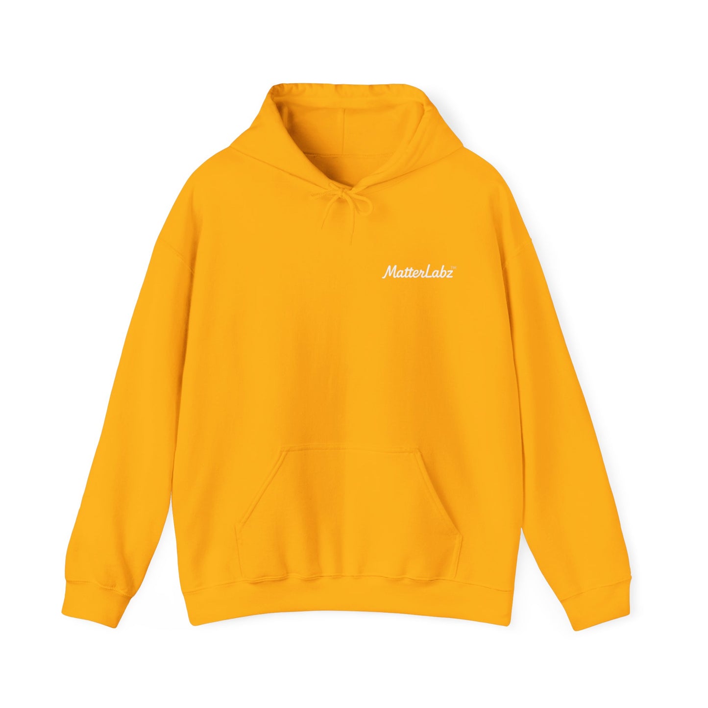 MatterLabz Reflections 4478 Hoodie