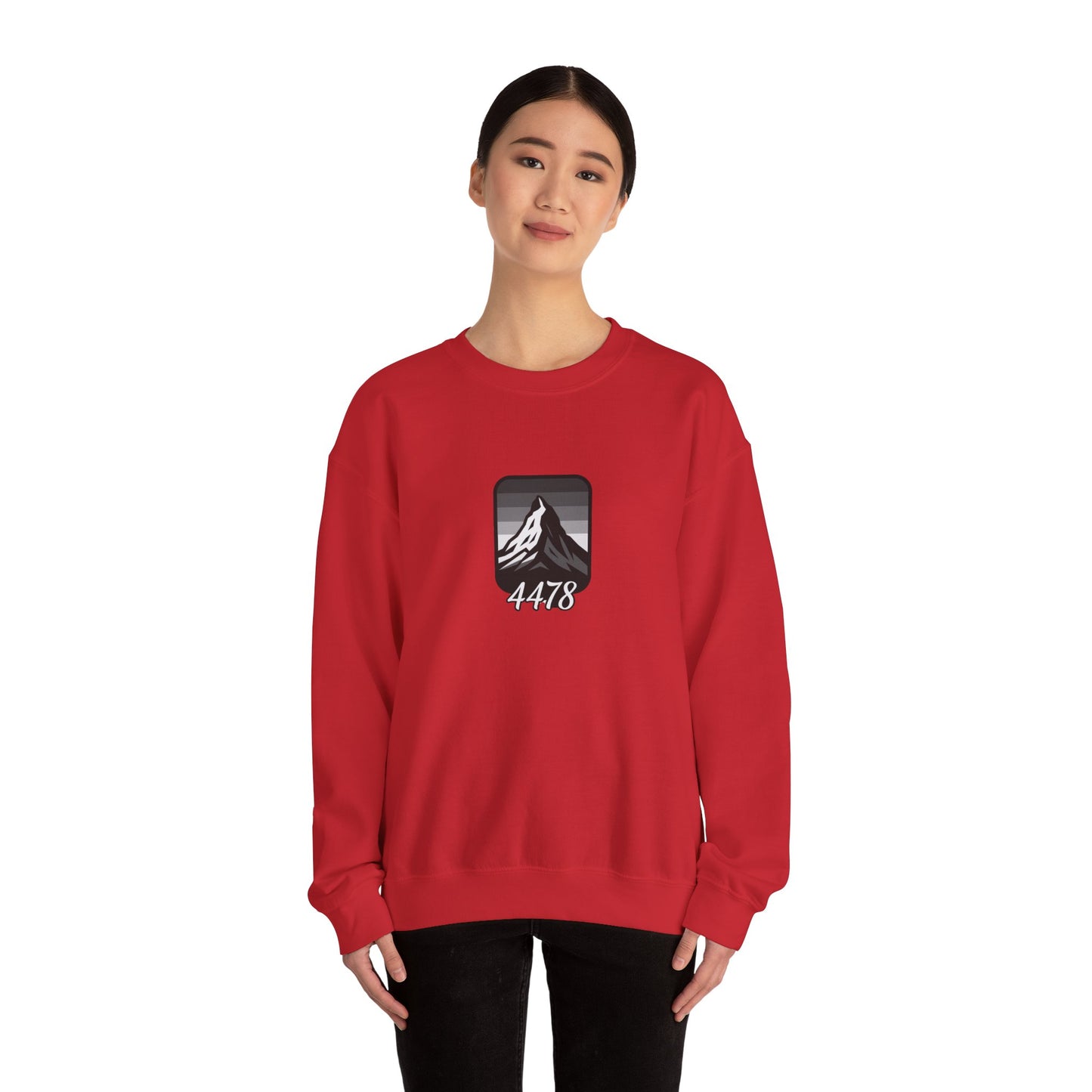 MatterLabz 4478 Altitude Design Sweatshirt