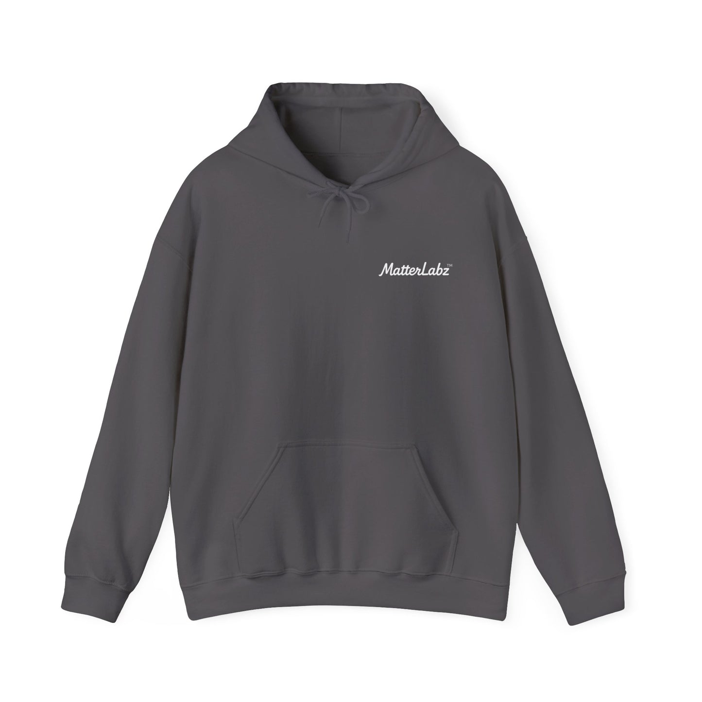 MatterLabz Reflections 4478 Hoodie
